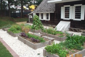 kitchen-garden2