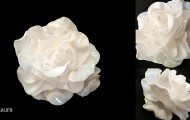 La rosa di cucchiaini