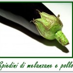 spiedini di melanzane spiedini di melanzane