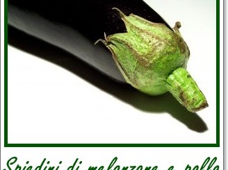 spiedini di melanzane