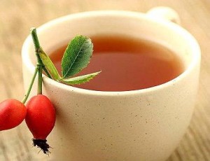 Dog rose tea (Rosa canina)