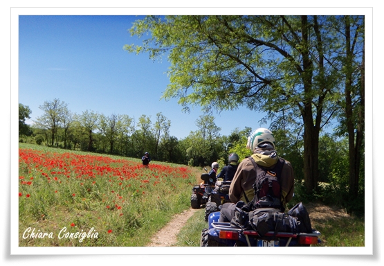 campagna