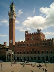 295016_siena_il_campo