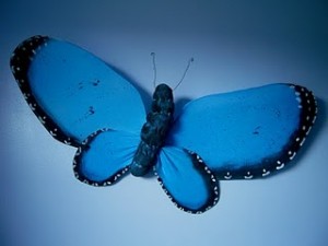 Farfalla di stoffa